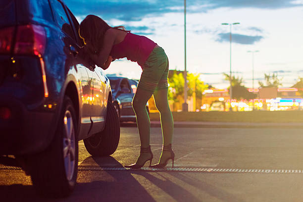 Srinagar Escort Services