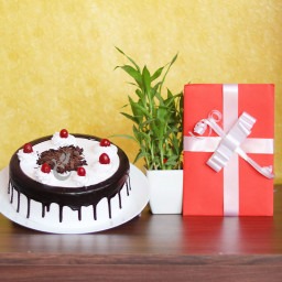 Fathers Day Gifts Online