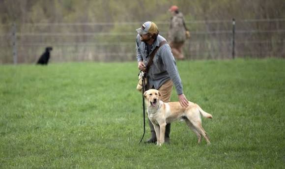 Murfreesboro dog training