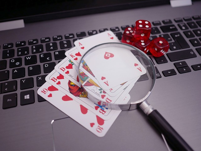11xplay online
